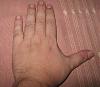 myhand.jpg‎