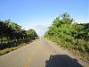 road to higuey after bayahibe.JPG‎