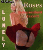 Roses.gif‎