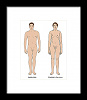 klinefelters-syndrome--healthy-male-science-source.jpg‎
