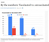 Indiana Covid Comparison.jpg‎