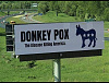 Donkey Pox.jpg‎