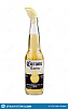 corona bottle.jpg‎