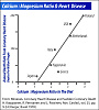 calcium-magnesium-ratio.jpg‎