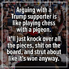 Arguing with Trump supporters.jpg‎