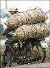 pig-transport.jpg‎