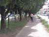 1-23-21 walkway toward mall in frnt of Ayenda 1219.jpg‎