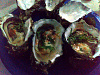 OYSTER.JPG‎