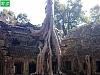 07- Ta Prohm.JPG‎