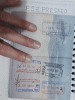 Passport Stamp 2.gif‎