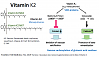 vitamin-k2-synthesis.png‎