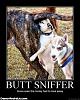 butt-sniffer-demotivational-poster.jpg‎