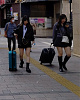 Bar girls kabukicho.jpg‎